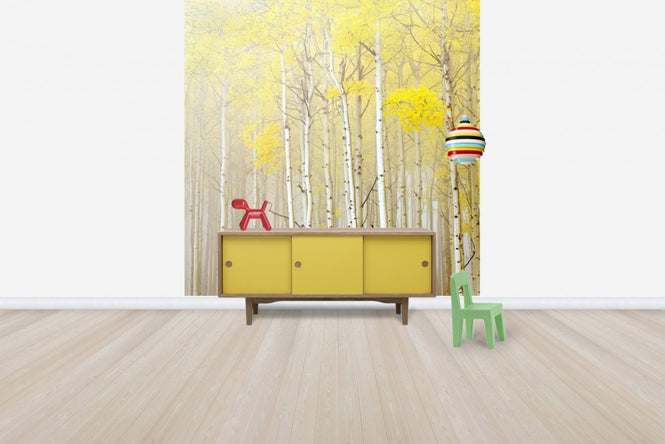 PHOTOWALL / Aspens in Fog (e40236)