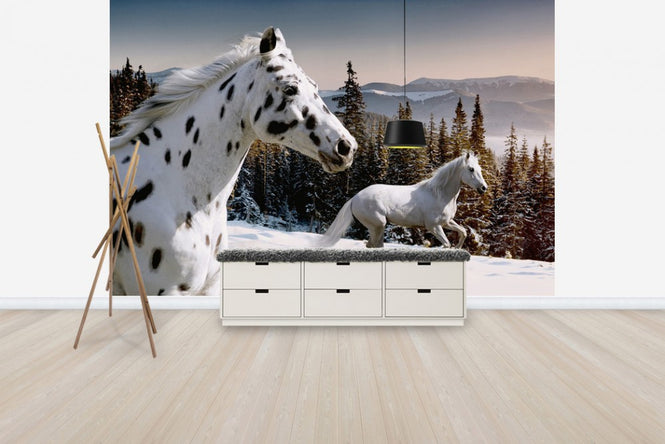 PHOTOWALL / Galopping Winter Wonderland (e40241)