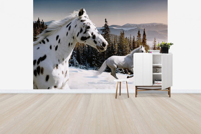 PHOTOWALL / Galopping Winter Wonderland (e40241)