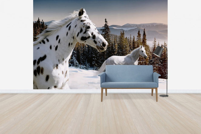 PHOTOWALL / Galopping Winter Wonderland (e40241)