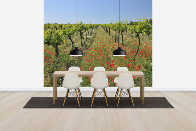 PHOTOWALL / Poppies in the Vineyard (e40248)