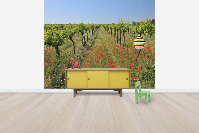 PHOTOWALL / Poppies in the Vineyard (e40248)