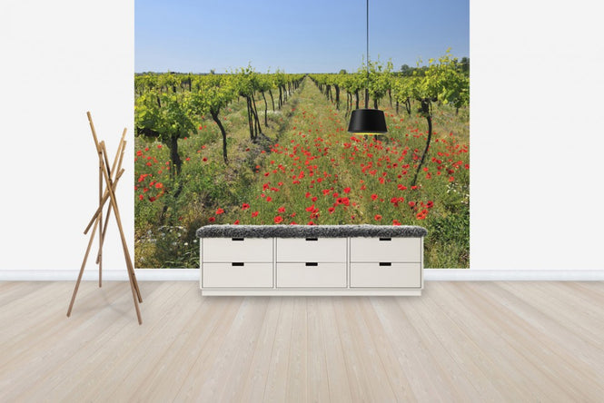 PHOTOWALL / Poppies in the Vineyard (e40248)