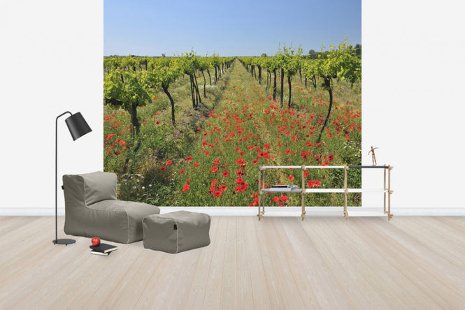 PHOTOWALL / Poppies in the Vineyard (e40248)