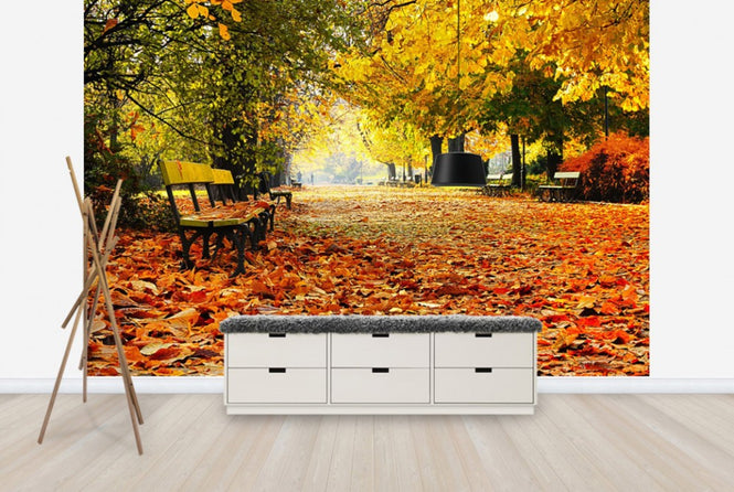 PHOTOWALL / Autumn Park (e40260)