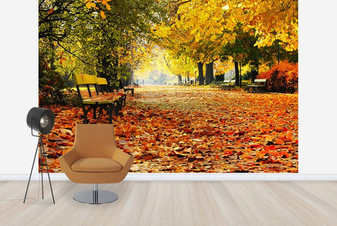 PHOTOWALL / Autumn Park (e40260)