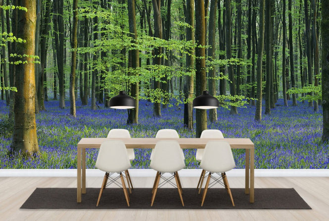 PHOTOWALL / Beautiful Bluebells (e40261)