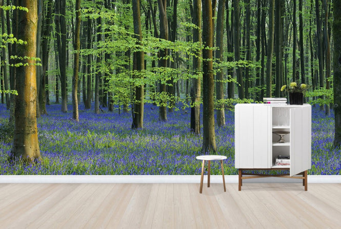 PHOTOWALL / Beautiful Bluebells (e40261)