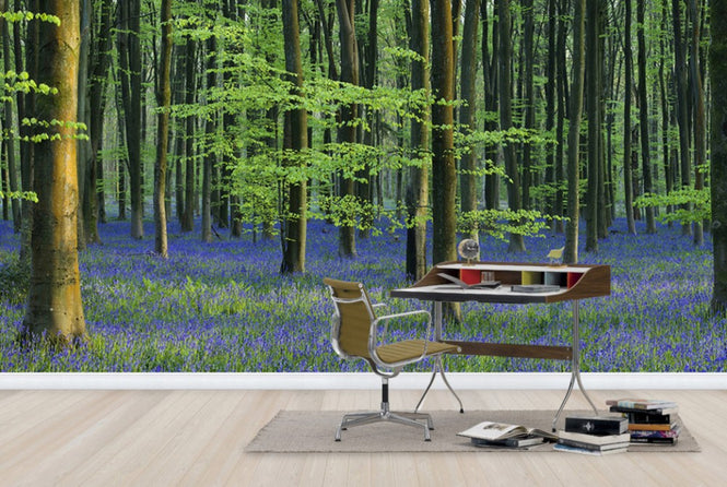 PHOTOWALL / Beautiful Bluebells (e40261)