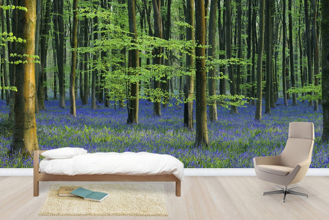 PHOTOWALL / Beautiful Bluebells (e40261)