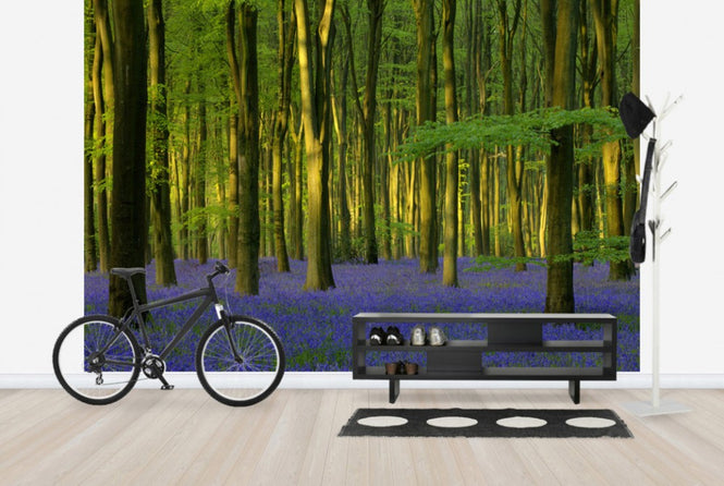 PHOTOWALL / Bluebells in Sunlight (e40263)