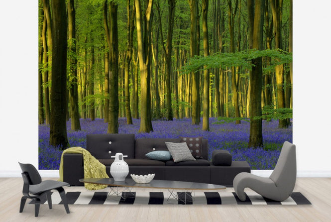 PHOTOWALL / Bluebells in Sunlight (e40263)