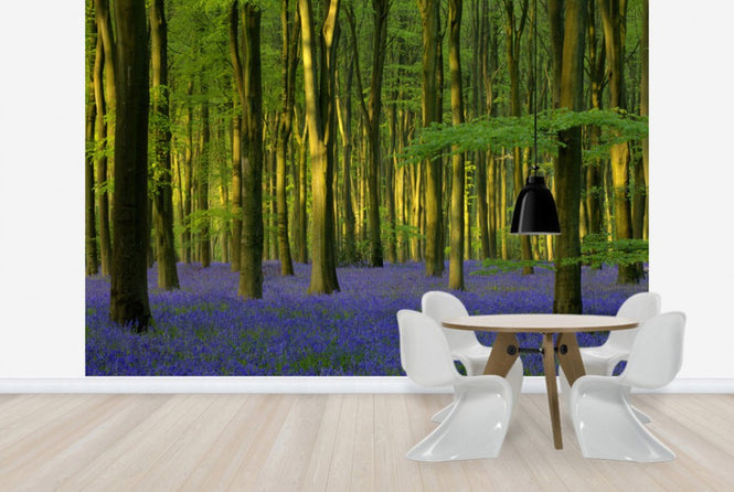 PHOTOWALL / Bluebells in Sunlight (e40263)