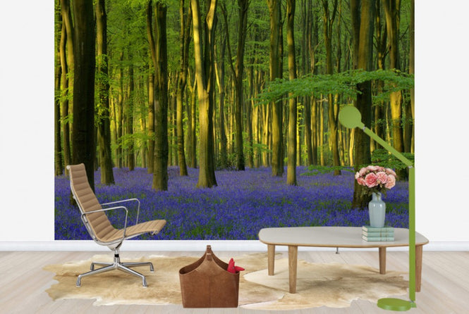 PHOTOWALL / Bluebells in Sunlight (e40263)