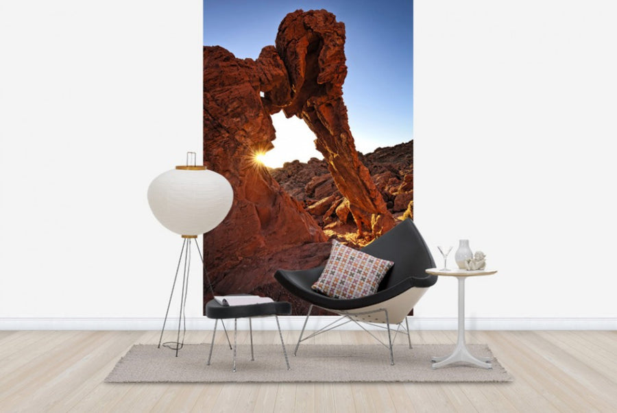 PHOTOWALL / Elephant Rock in the Valley of Fire (e40267)