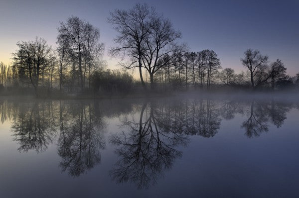 PHOTOWALL / Simple Beauty (e40272)