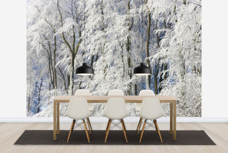 PHOTOWALL / Snow Covered Trees in Gloucestershire (e40273)