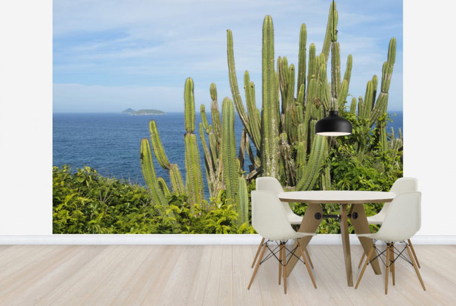 PHOTOWALL / Cactus with a View (e24898)
