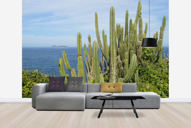 PHOTOWALL / Cactus with a View (e24898)