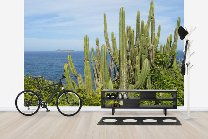 PHOTOWALL / Cactus with a View (e24898)