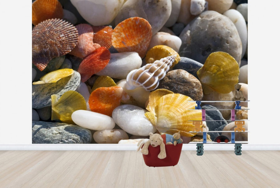 PHOTOWALL / Colorful Seashells and Pebbles (e24899)