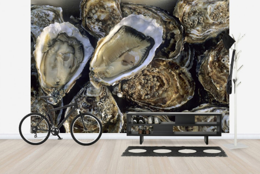 PHOTOWALL / Oysters (e24917)