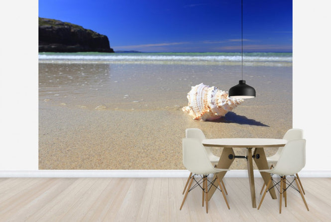 PHOTOWALL / Shell on Beach (e24919)