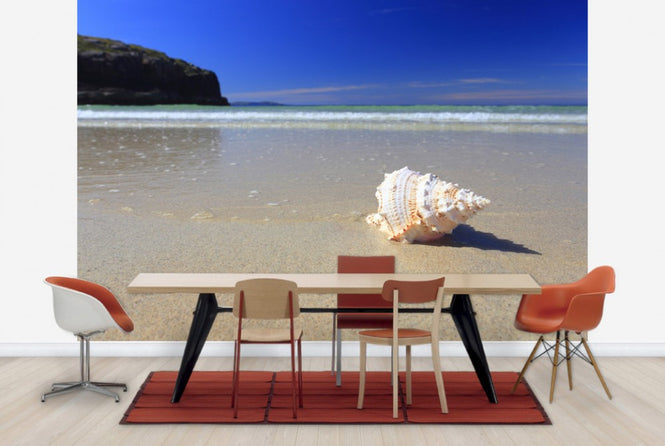 PHOTOWALL / Shell on Beach (e24919)
