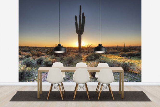 PHOTOWALL / Desert Sunset (e40333)