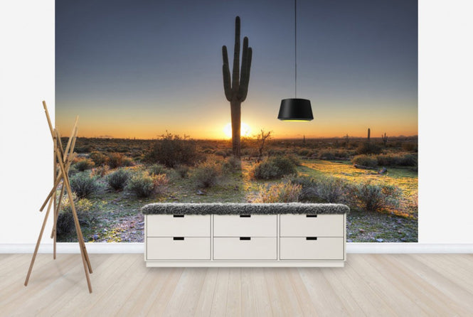 PHOTOWALL / Desert Sunset (e40333)