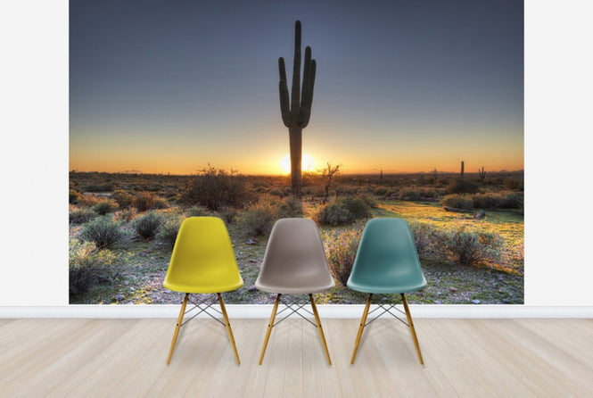 PHOTOWALL / Desert Sunset (e40333)