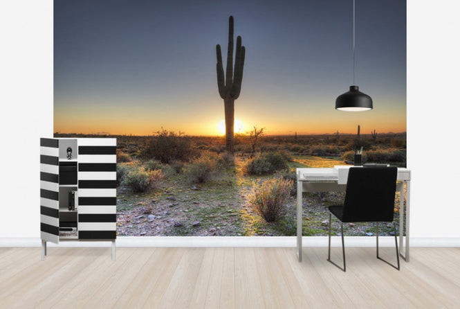 PHOTOWALL / Desert Sunset (e40333)