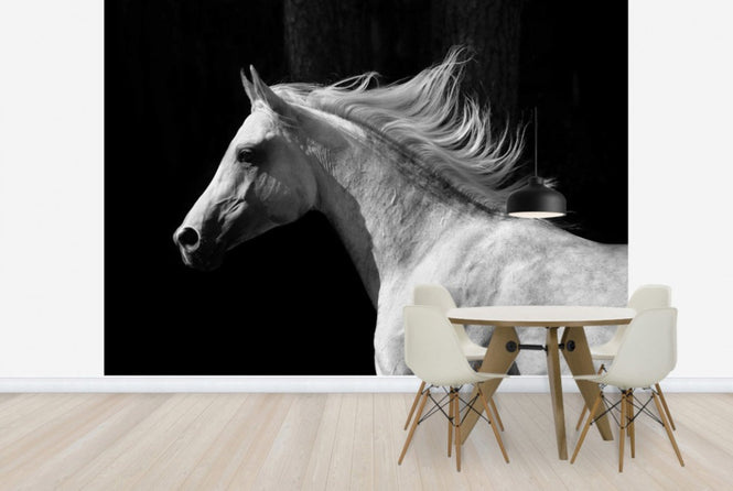PHOTOWALL / Gray Arab Stallion (e40335)