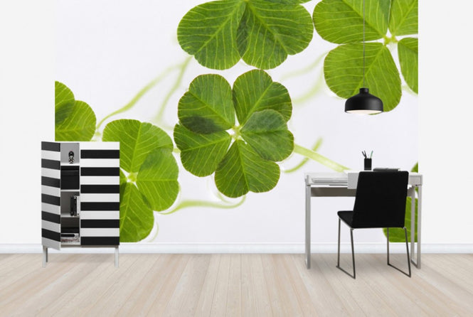 PHOTOWALL / Lucky Clovers (e40336)