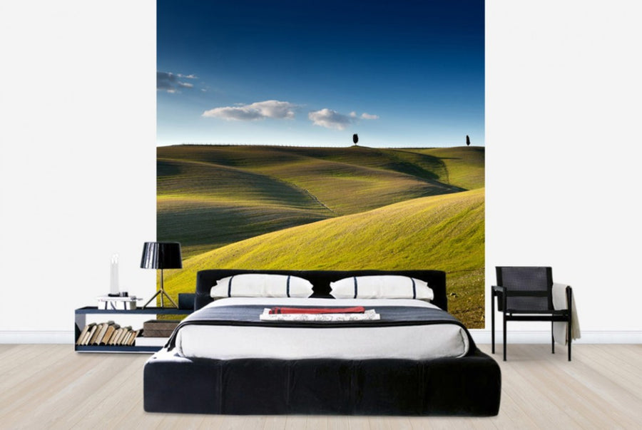 PHOTOWALL / Cypress Trees on top of Rolling Field (e40394)