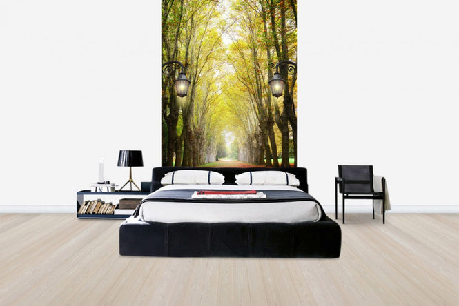 PHOTOWALL / Alley with Trees (e40382)
