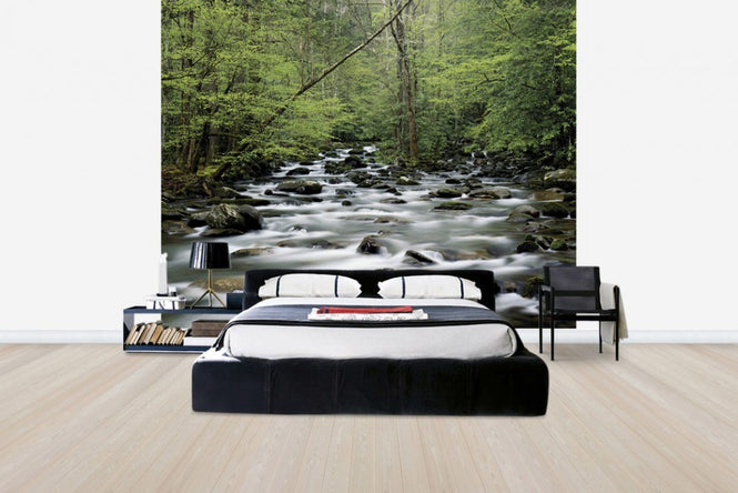 PHOTOWALL / Little Pigeon River (e40384)