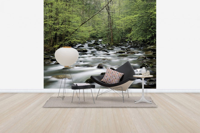 PHOTOWALL / Little Pigeon River (e40384)