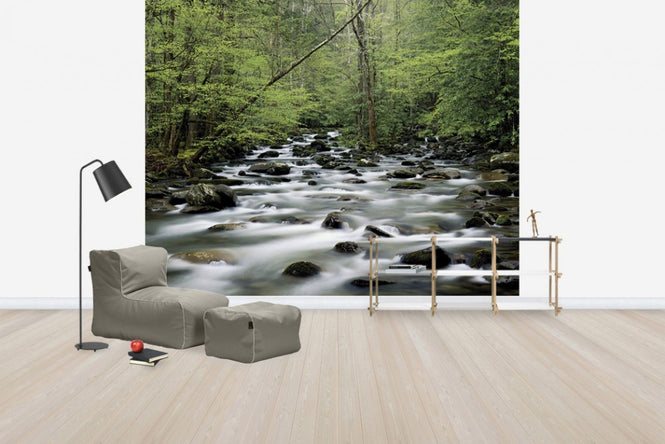 PHOTOWALL / Little Pigeon River (e40384)