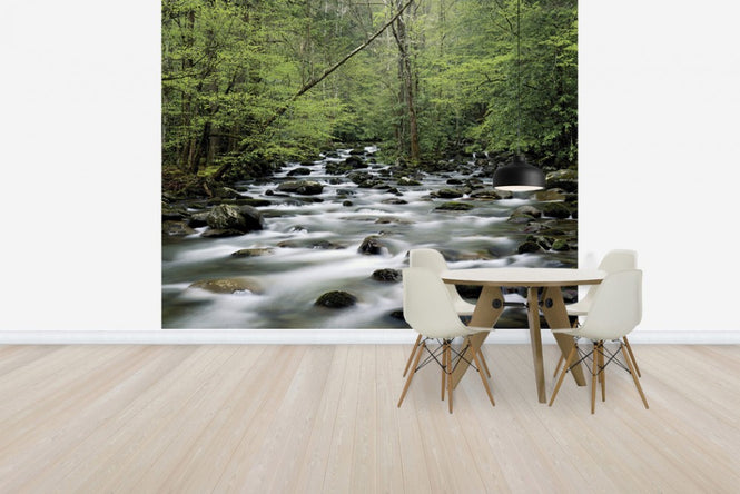 PHOTOWALL / Little Pigeon River (e40384)
