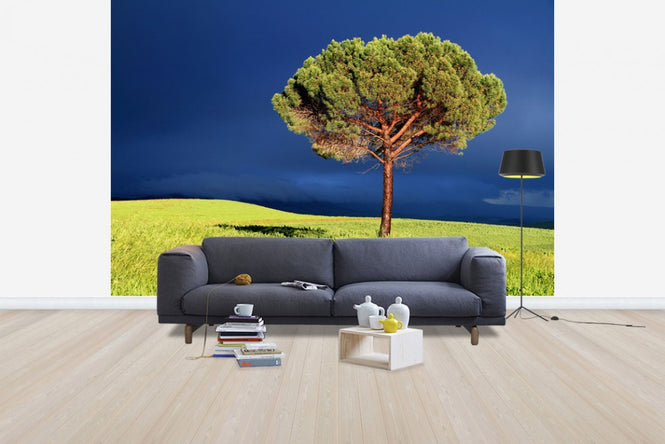 PHOTOWALL / Between Sun and Storm (e40399)