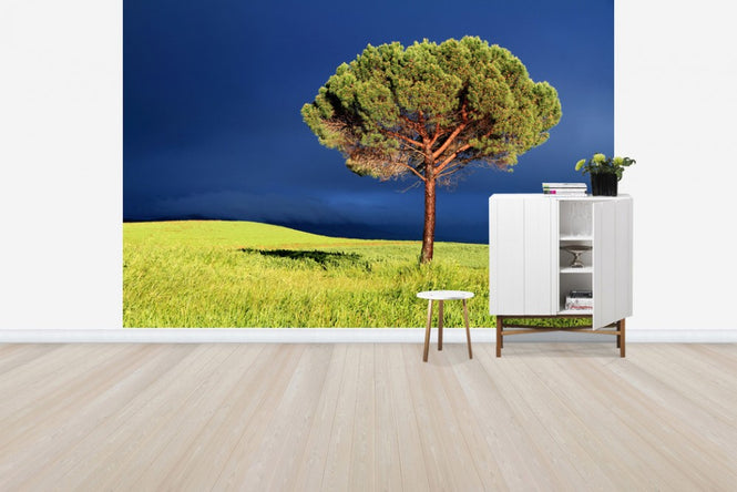 PHOTOWALL / Between Sun and Storm (e40399)