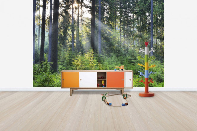 PHOTOWALL / Forest Awakening (e40403)