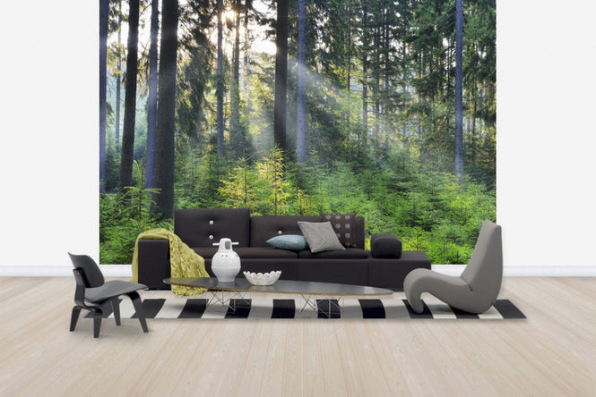 PHOTOWALL / Forest Awakening (e40403)