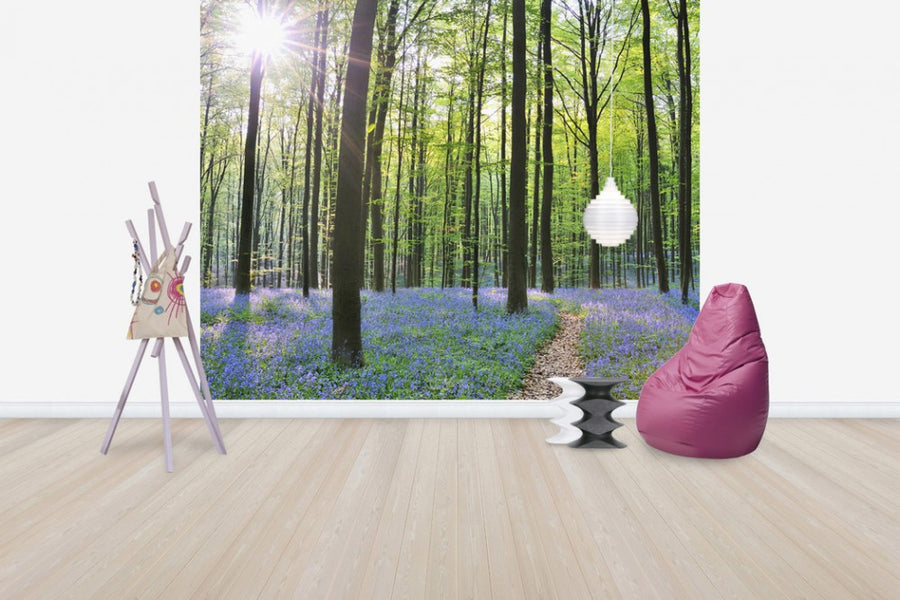 PHOTOWALL / Path through Bluebells Forest (e40410)