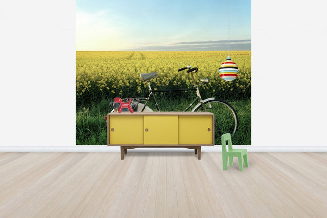 PHOTOWALL / The End of the Lane (e40413)