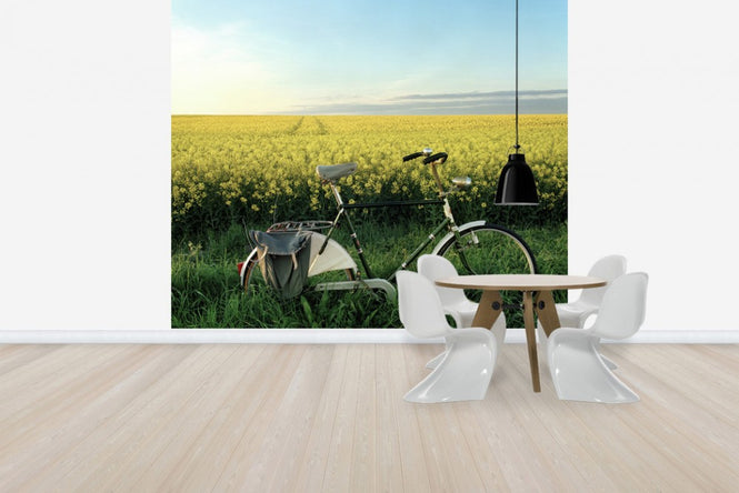 PHOTOWALL / The End of the Lane (e40413)