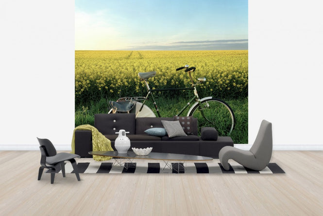 PHOTOWALL / The End of the Lane (e40413)