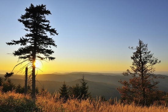 PHOTOWALL / Thuringian Forest at Sunset (e40414)