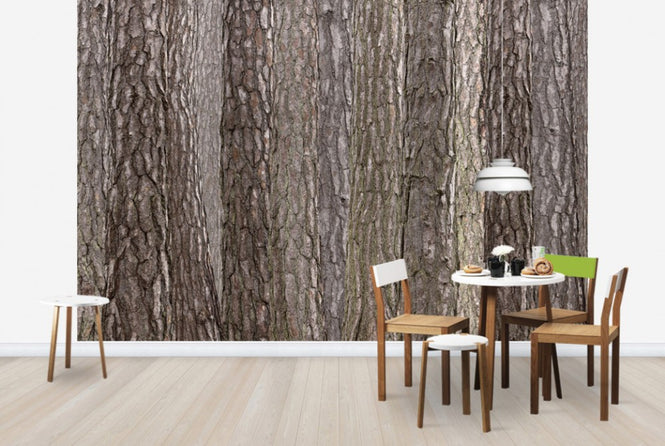 PHOTOWALL / Park Brown (e25094)